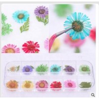 BIN Wholesale Natural Nail Art Dry Flower Sets