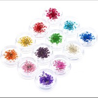 BIN Nail Art Decoration Nail Art Dry Flower Sets